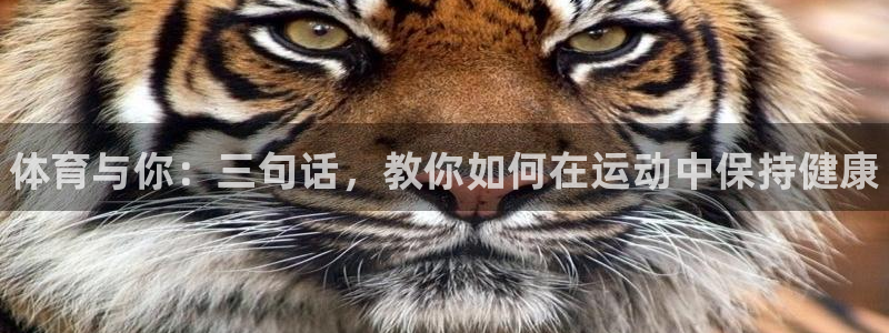 JJB竞技宝官网下载招商电话是多少啊:体育与你:三句话,教你