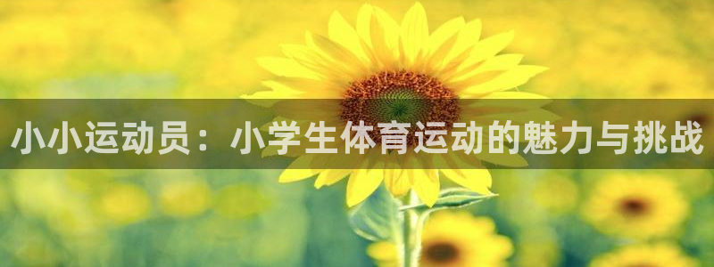 JJB竞技宝官方正版app集团:小小运动员:小学生体育运动的