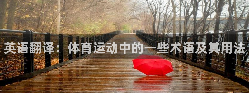 JJB竞技宝官方正版app娱乐首页网站大全:英语翻译:体育运